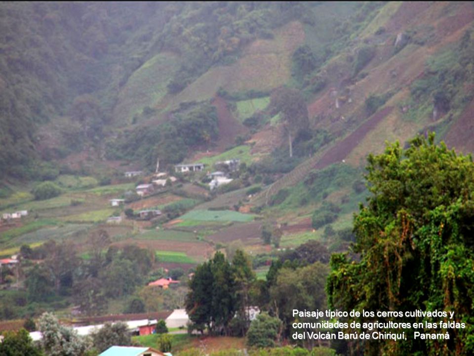 Paisaje típico de los cerros cultivados y comunidades de agricultores en las faldas del Volcán Barú de Chiriquí, Panamá