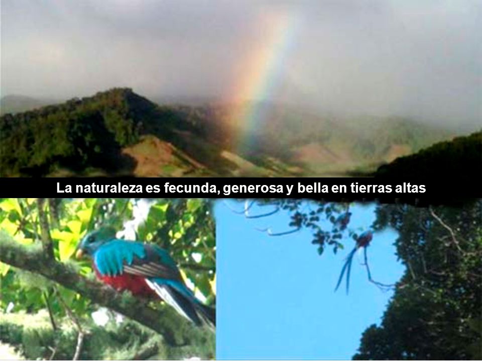 La naturaleza es fecunda, generosa y bella en tierras altas
