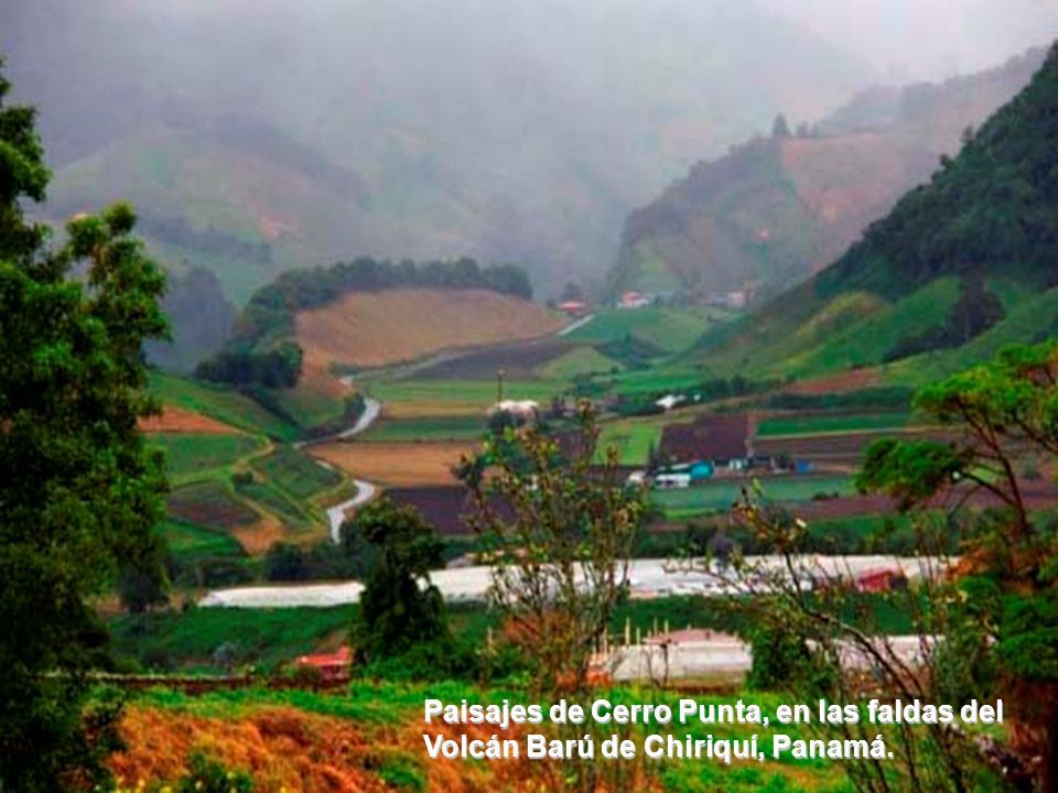 Paisajes de Cerro Punta, en las faldas del Volcán Barú de Chiriquí, Panamá.