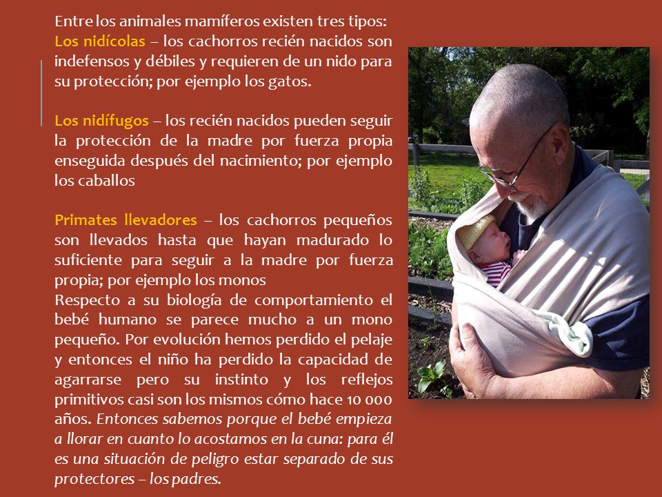 Entre los animales mamíferos existen tres tipos: