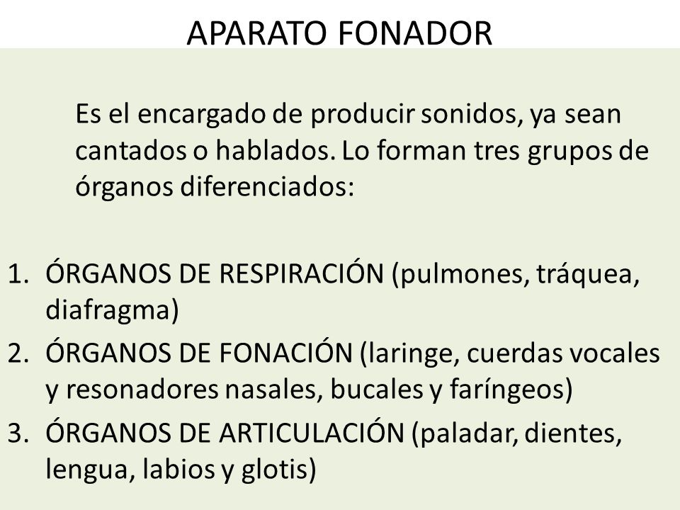 APARATO FONADOR Es el encargado de producir sonidos, ya sean cantados o hablados. Lo forman tres grupos de órganos diferenciados: