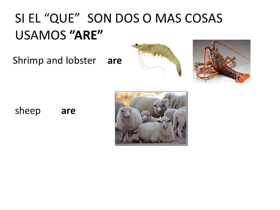 SI EL QUE SON DOS O MAS COSAS USAMOS ARE