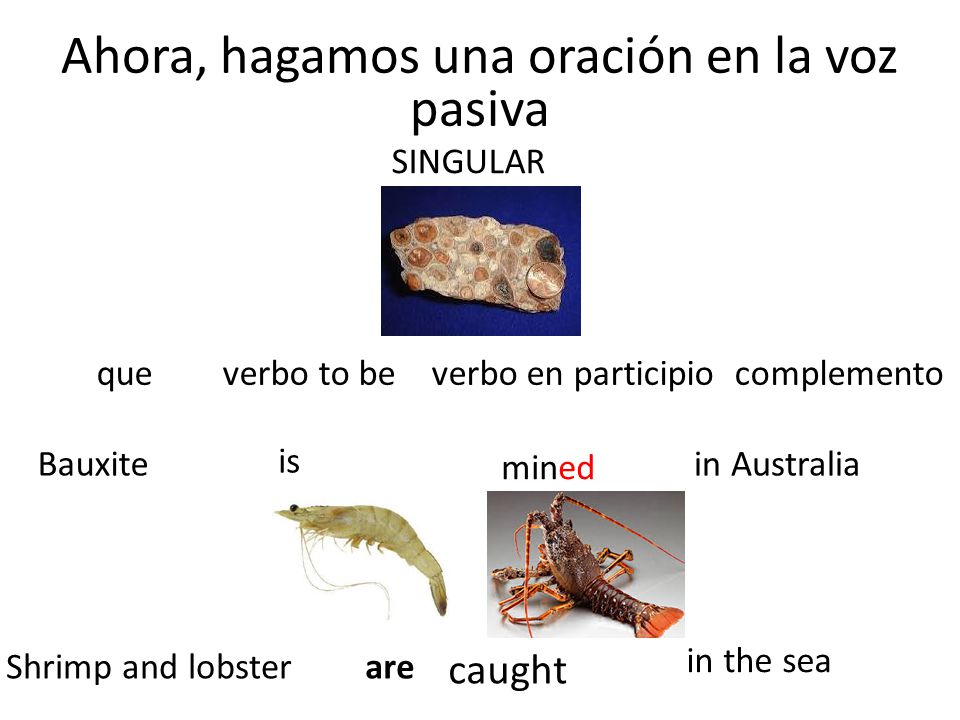 Ahora, hagamos una oración en la voz pasiva