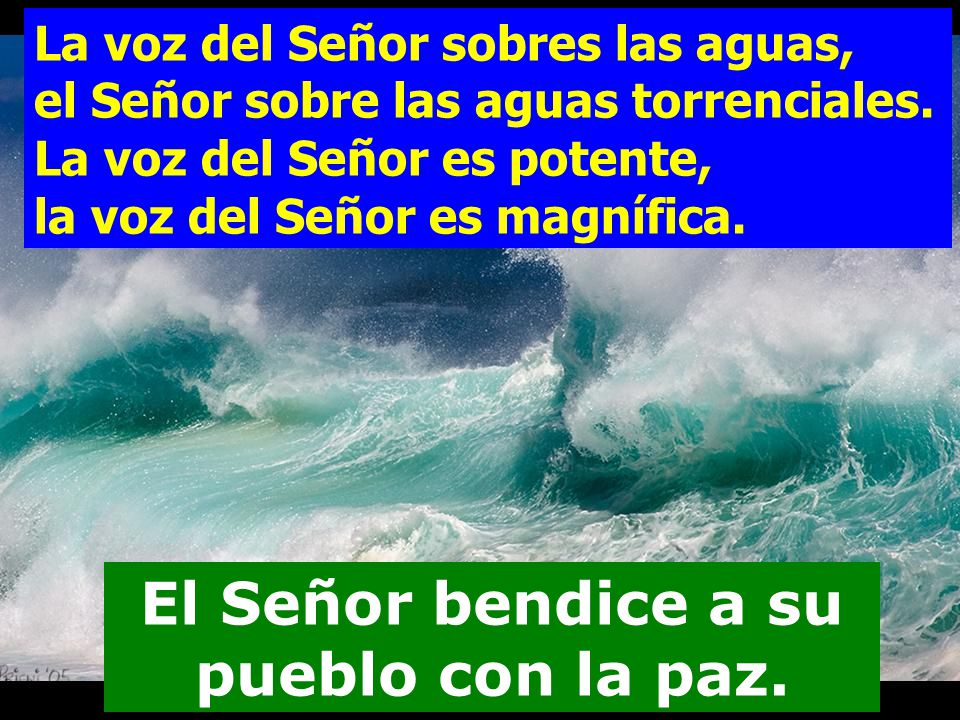 El Señor bendice a su pueblo con la paz.