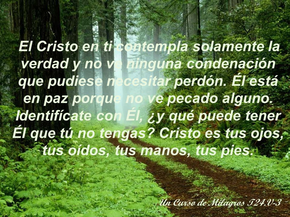 El Cristo en ti contempla solamente la verdad y no ve ninguna condenación que pudiese necesitar perdón. Él está en paz porque no ve pecado alguno. Identifícate con Él, ¿y qué puede tener Él que tú no ten­gas Cristo es tus ojos, tus oídos, tus manos, tus pies.