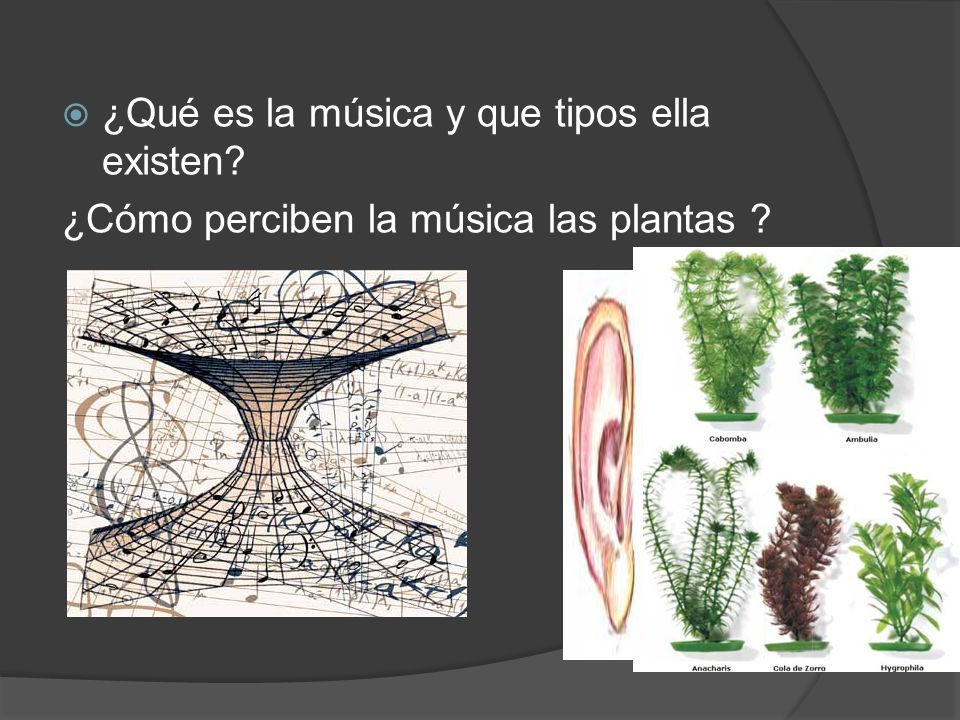 ¿Qué es la música y que tipos ella existen
