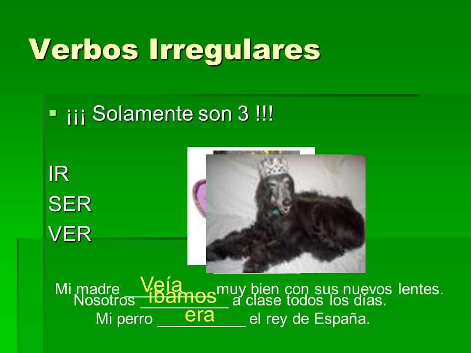 Verbos Irregulares ¡¡¡ Solamente son 3 !!! IR SER VER Veía íbamos era