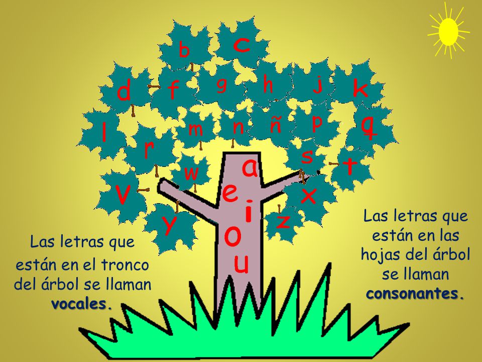 Las letras que están en las hojas del árbol se llaman consonantes.