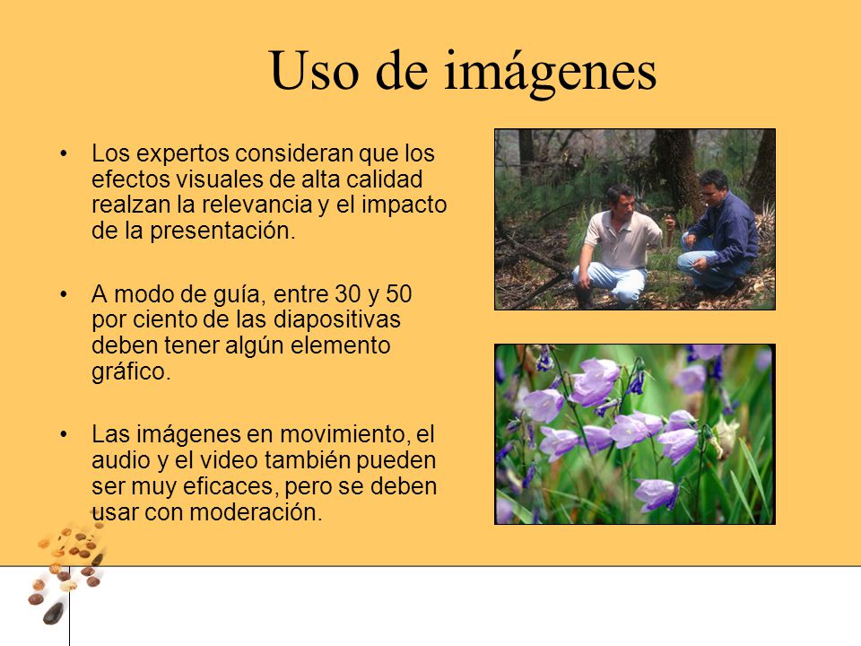 Uso de imágenes Los expertos consideran que los efectos visuales de alta calidad realzan la relevancia y el impacto de la presentación.