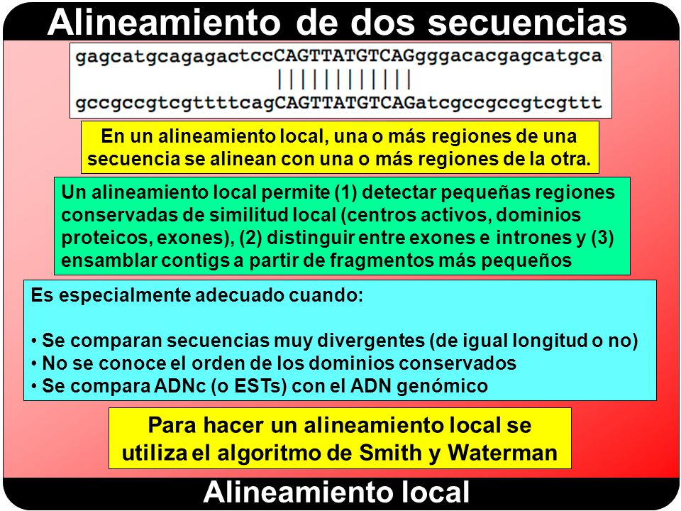 En un alineamiento local, una o más regiones de una secuencia se alinean con una o más regiones de la otra.