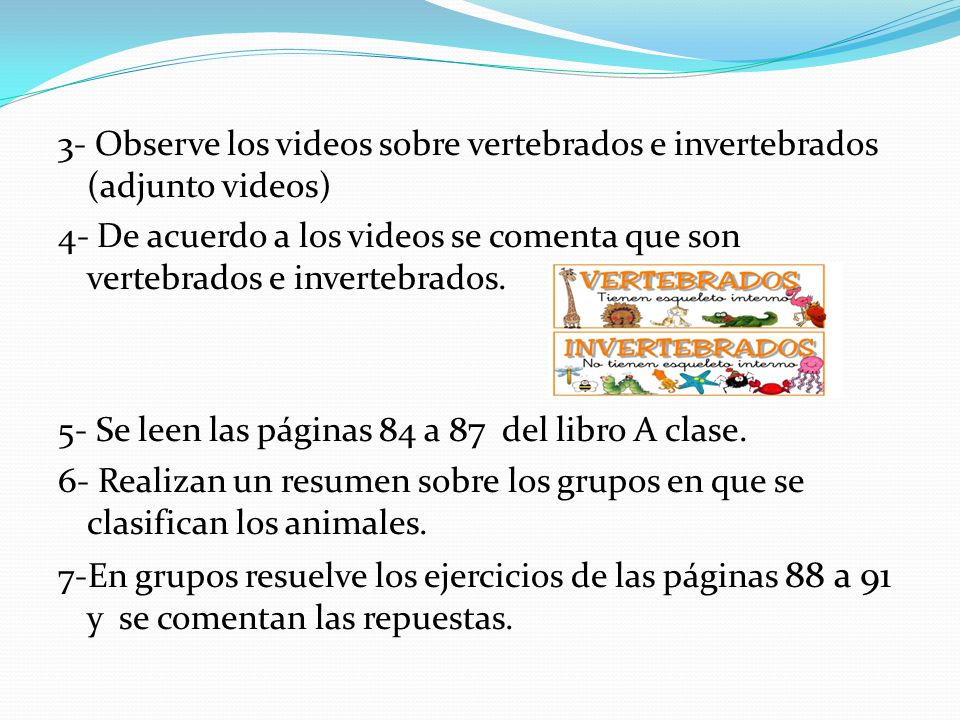 3- Observe los videos sobre vertebrados e invertebrados (adjunto videos)