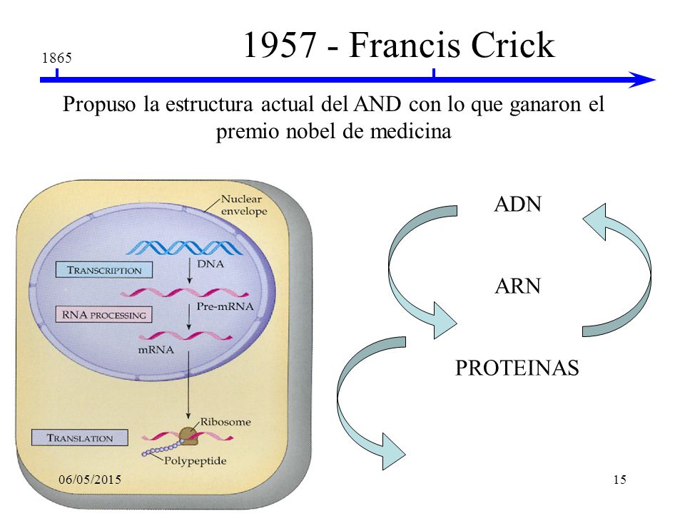 Francis Crick Propuso la estructura actual del AND con lo que ganaron el premio nobel de medicina.