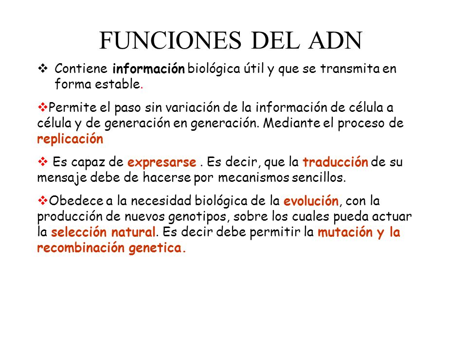 FUNCIONES DEL ADN Contiene información biológica útil y que se transmita en forma estable.