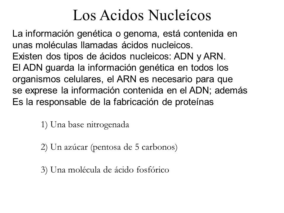 Los Acidos Nucleícos La información genética o genoma, está contenida en. unas moléculas llamadas ácidos nucleicos.