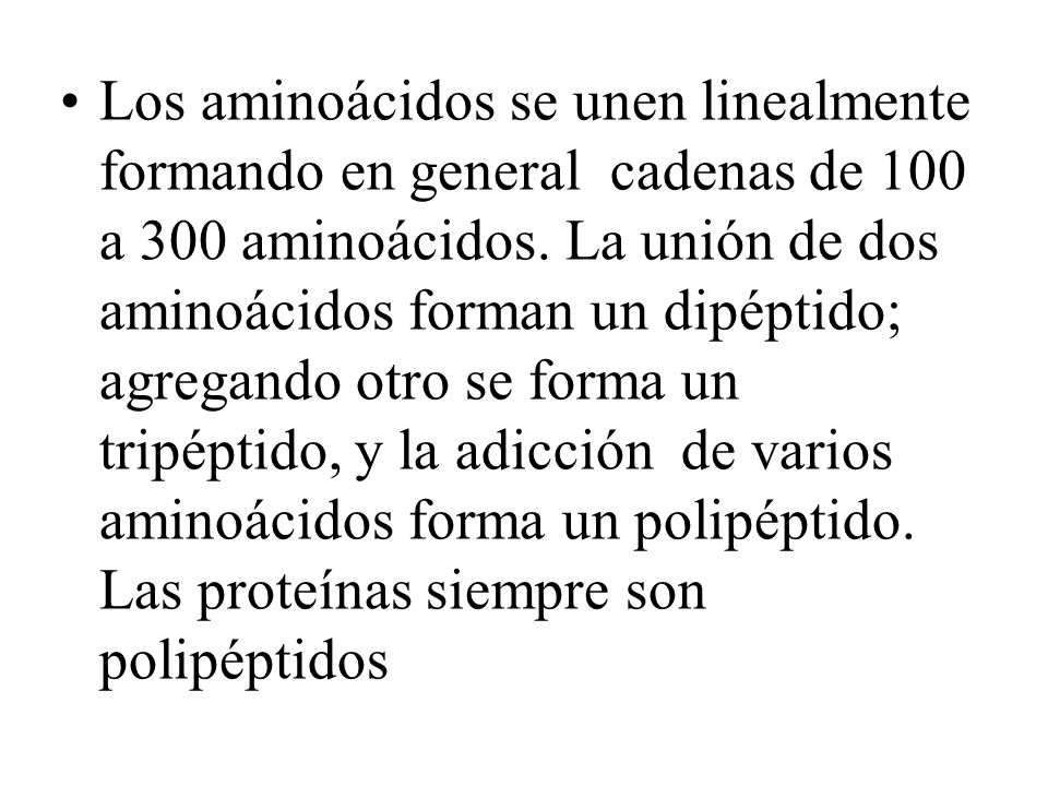 Los aminoácidos se unen linealmente formando en general cadenas de 100 a 300 aminoácidos.