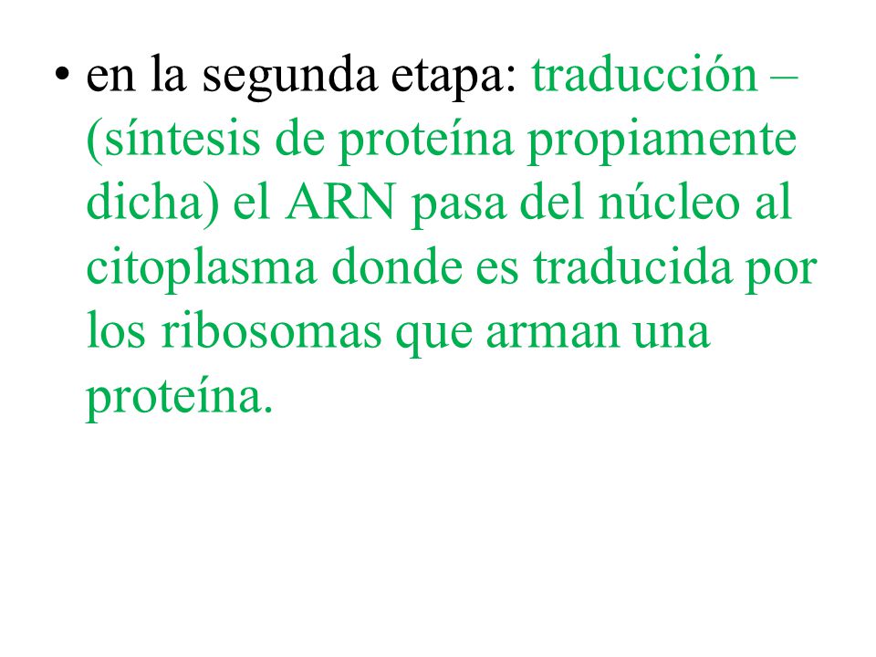 en la segunda etapa: traducción – (síntesis de proteína propiamente dicha) el ARN pasa del núcleo al citoplasma donde es traducida por los ribosomas que arman una proteína.