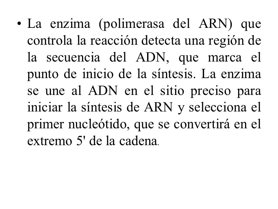La enzima (polimerasa del ARN) que controla la reacción detecta una región de la secuencia del ADN, que marca el punto de inicio de la síntesis.