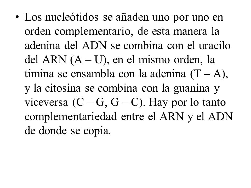 Los nucleótidos se añaden uno por uno en orden complementario, de esta manera la adenina del ADN se combina con el uracilo del ARN (A – U), en el mismo orden, la timina se ensambla con la adenina (T – A), y la citosina se combina con la guanina y viceversa (C – G, G – C).