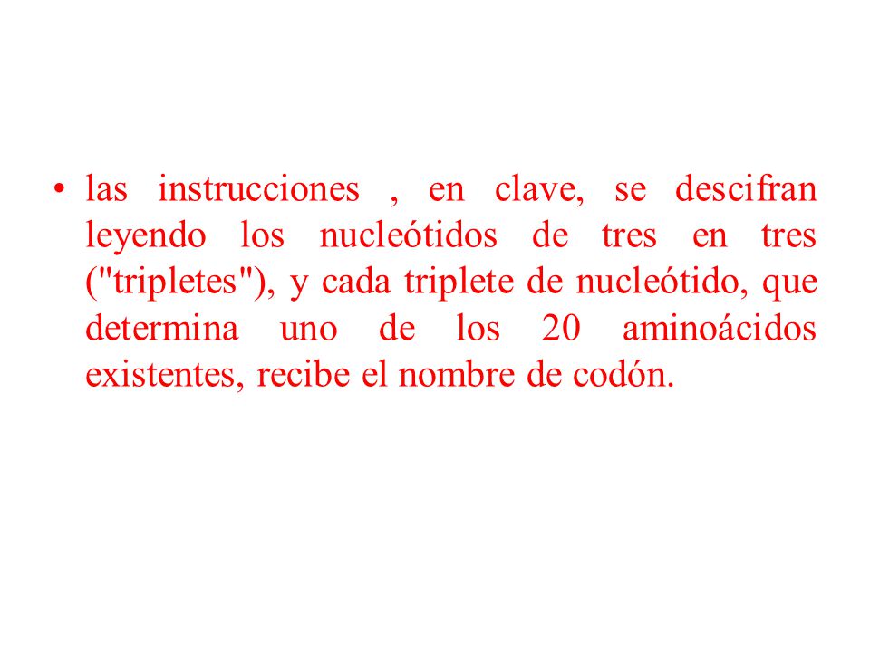 las instrucciones , en clave, se descifran leyendo los nucleótidos de tres en tres ( tripletes ), y cada triplete de nucleótido, que determina uno de los 20 aminoácidos existentes, recibe el nombre de codón.