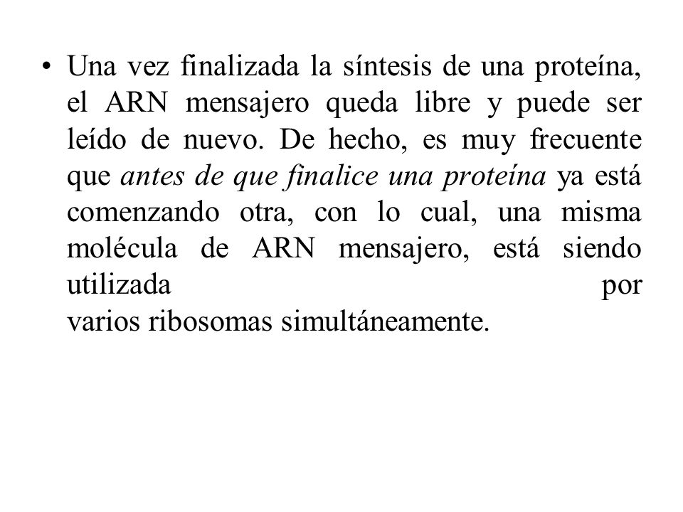 Una vez finalizada la síntesis de una proteína, el ARN mensajero queda libre y puede ser leído de nuevo.