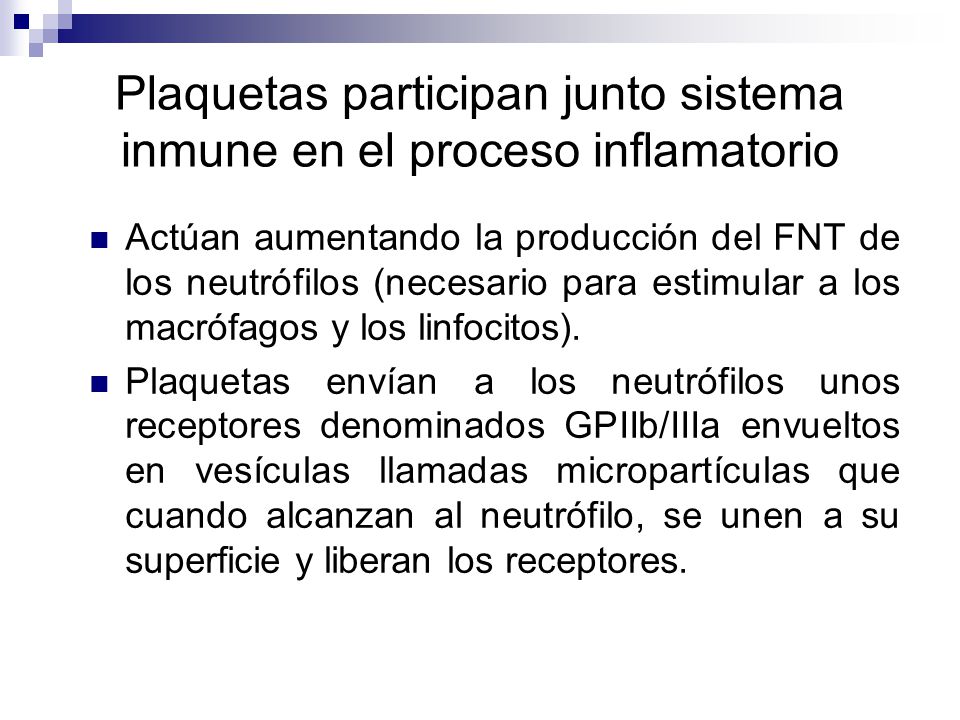 Plaquetas participan junto sistema inmune en el proceso inflamatorio