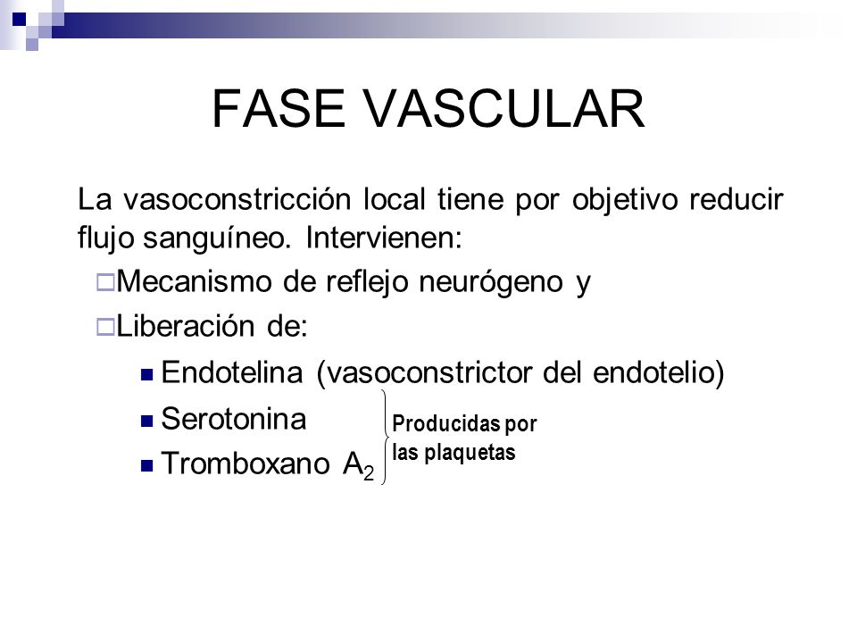FASE VASCULAR La vasoconstricción local tiene por objetivo reducir flujo sanguíneo. Intervienen: Mecanismo de reflejo neurógeno y.