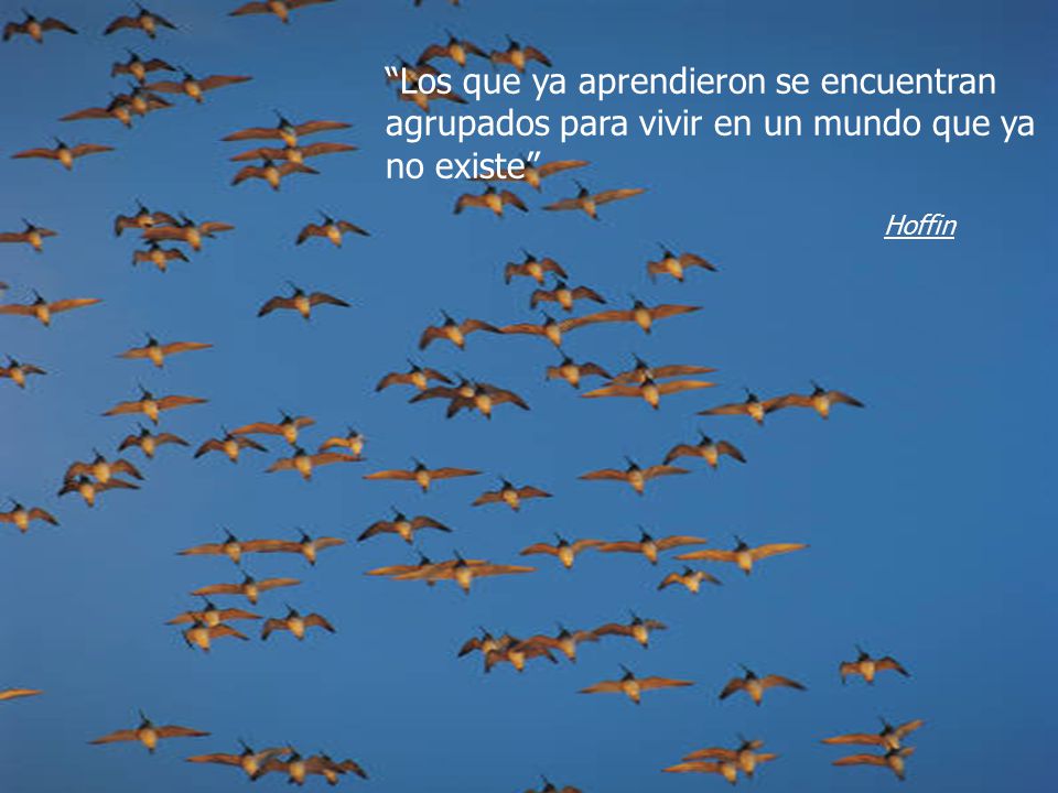 Los que ya aprendieron se encuentran agrupados para vivir en un mundo que ya no existe