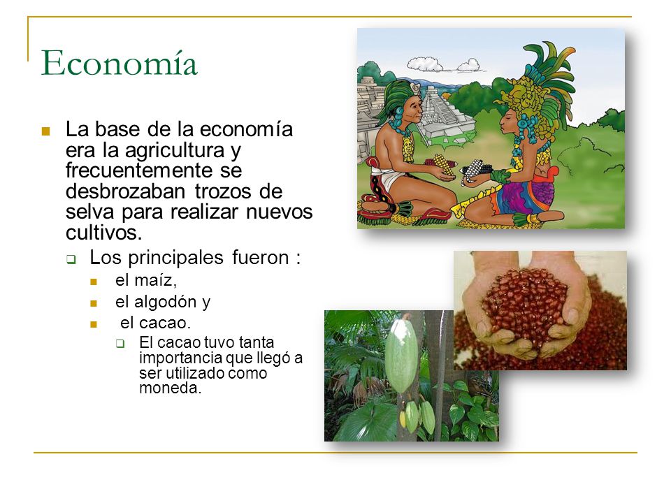 Economía La base de la economía era la agricultura y frecuentemente se desbrozaban trozos de selva para realizar nuevos cultivos.