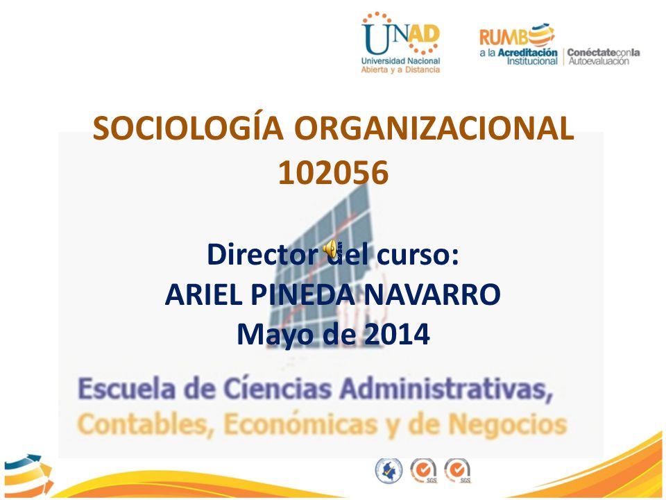 SOCIOLOGÍA ORGANIZACIONAL Director del curso: ARIEL PINEDA NAVARRO Mayo de 2014