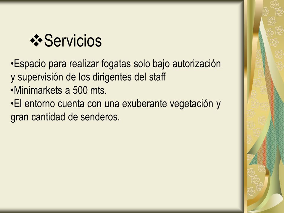 Servicios Espacio para realizar fogatas solo bajo autorización y supervisión de los dirigentes del staff.