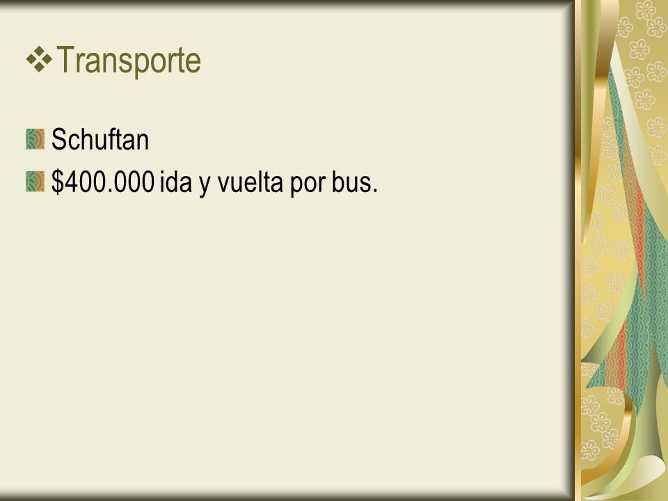Transporte Schuftan $ ida y vuelta por bus.