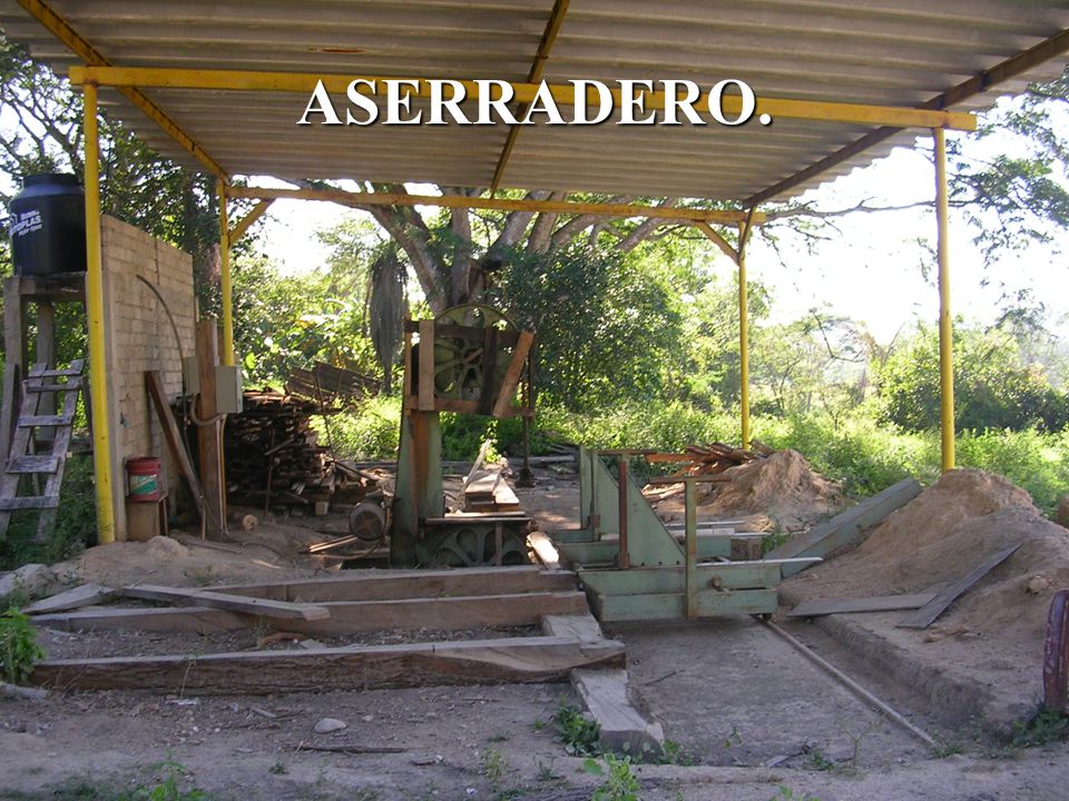 ASERRADERO.