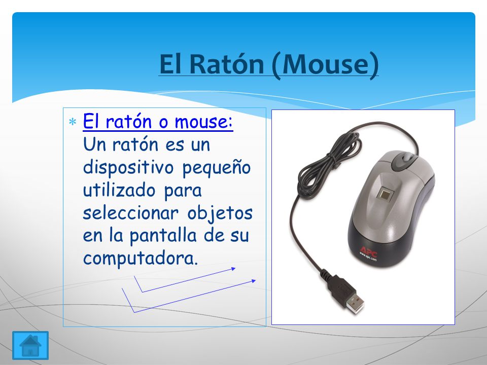 El Ratón (Mouse) El ratón o mouse: Un ratón es un dispositivo pequeño utilizado para seleccionar objetos en la pantalla de su computadora.