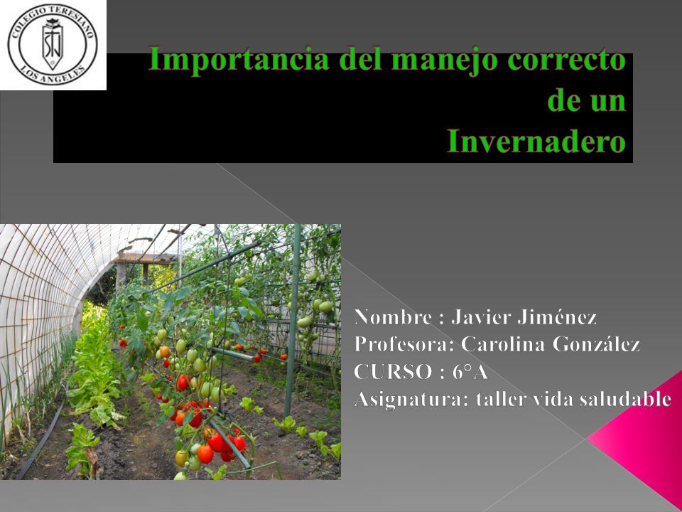 Importancia del manejo correcto de un Invernadero