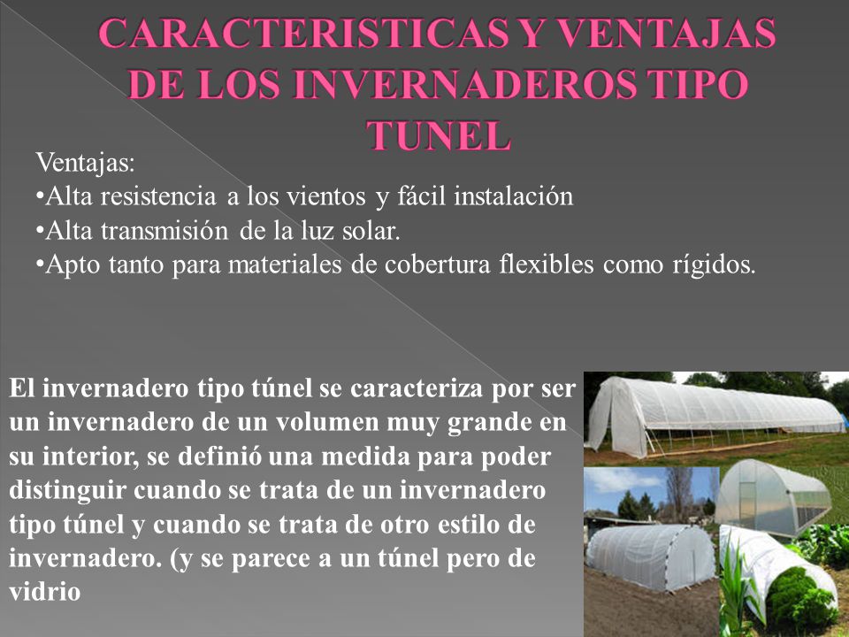 CARACTERISTICAS Y VENTAJAS DE LOS INVERNADEROS TIPO TUNEL