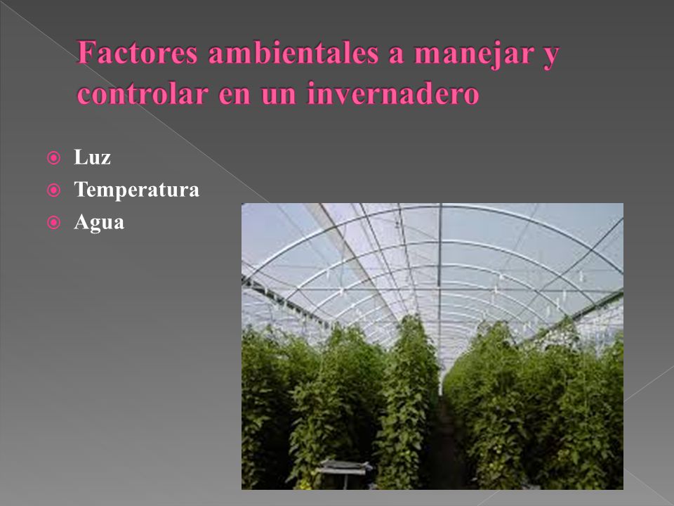 Factores ambientales a manejar y controlar en un invernadero