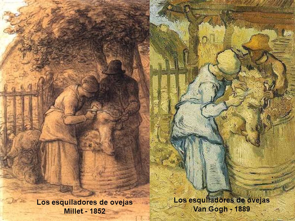 Los esquiladores de ovejas Los esquiladores de ovejas