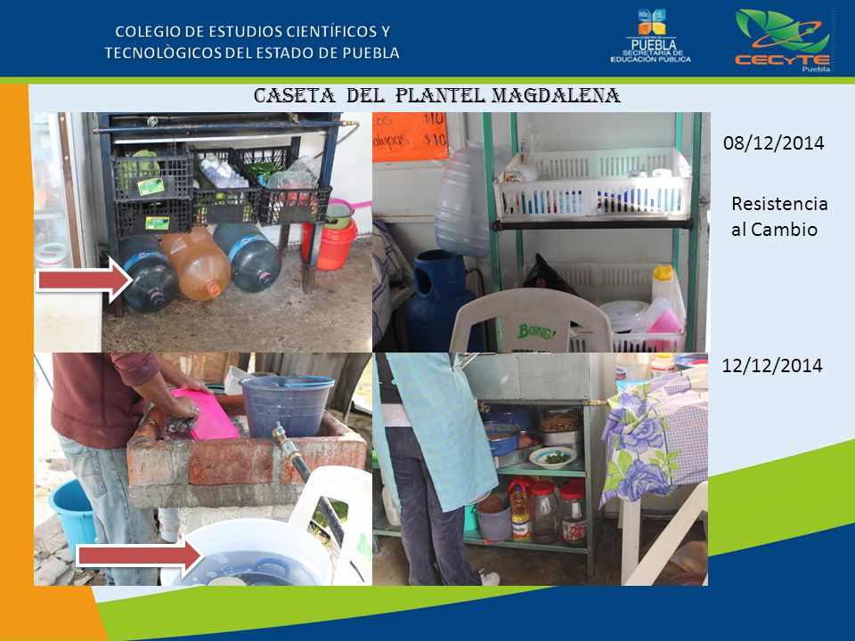 COLEGIO DE ESTUDIOS CIENTÍFICOS Y TECNOLÒGICOS DEL ESTADO DE PUEBLA