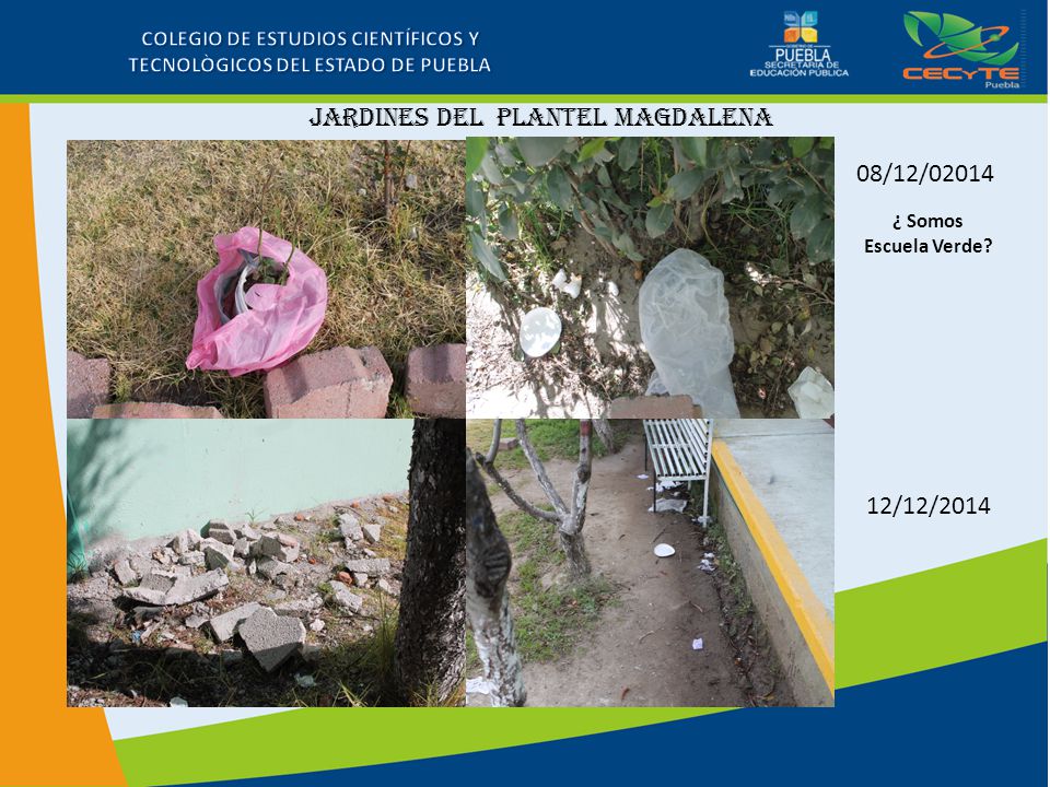 COLEGIO DE ESTUDIOS CIENTÍFICOS Y TECNOLÒGICOS DEL ESTADO DE PUEBLA