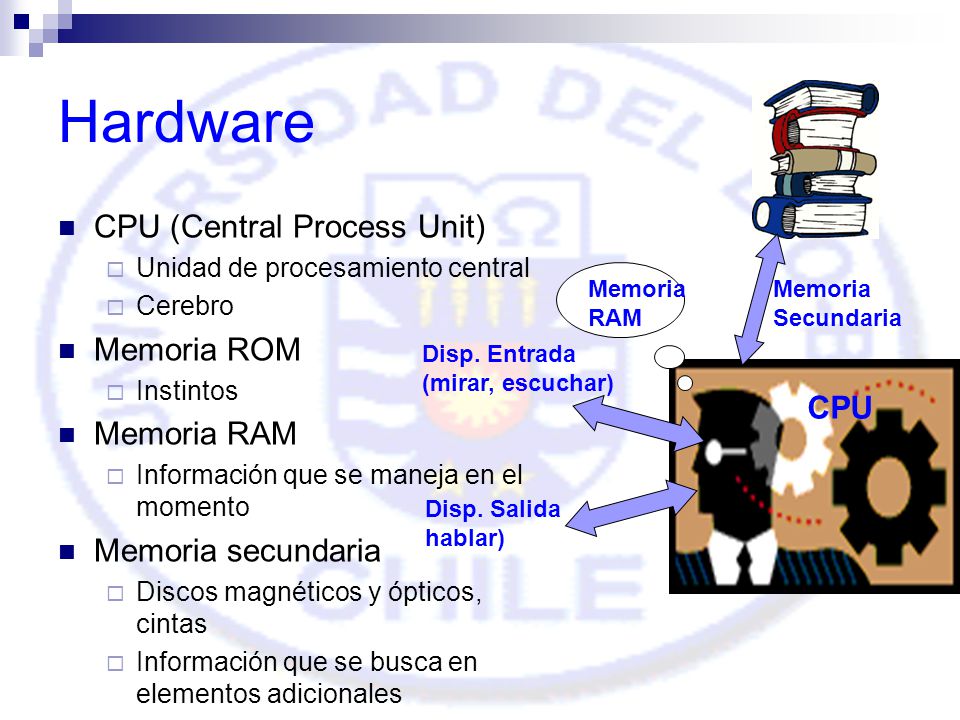 Hardware CPU (Central Process Unit) Memoria ROM Memoria RAM
