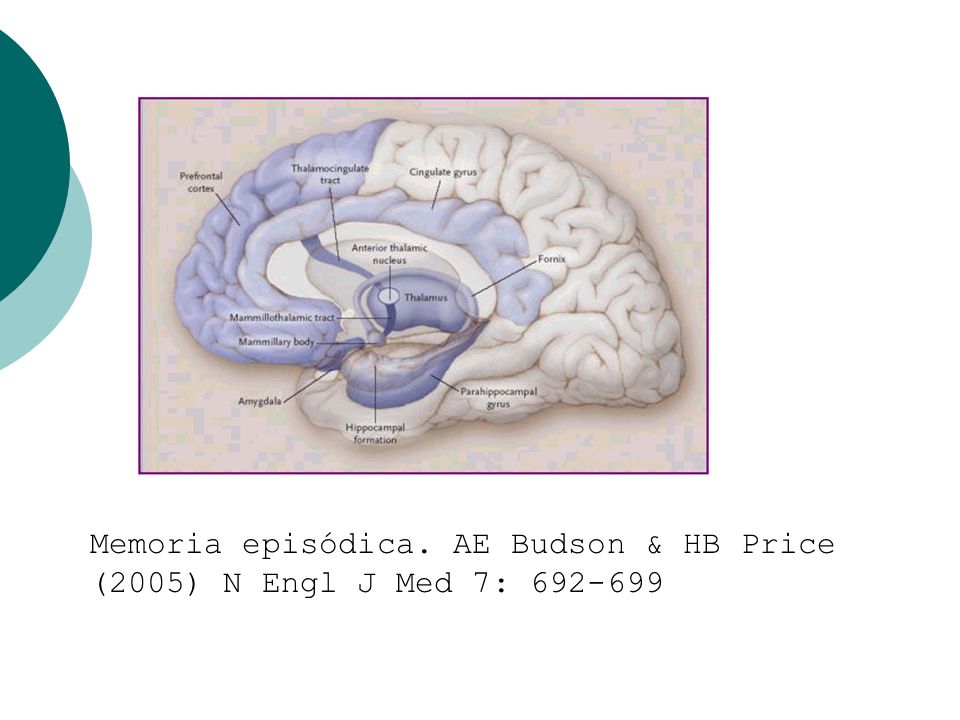 Memoria episódica. AE Budson & HB Price (2005) N Engl J Med 7: