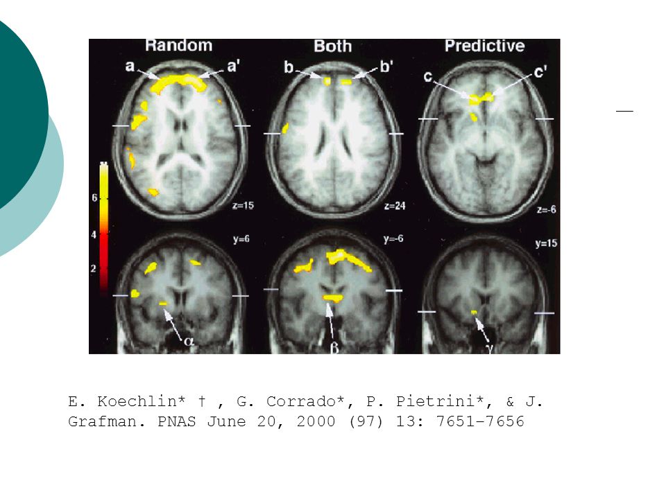 E. Koechlin. † , G. Corrado. , P. Pietrini. , & J. Grafman