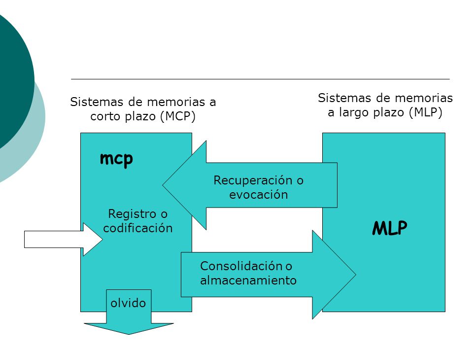 mcp MLP Sistemas de memorias a largo plazo (MLP)