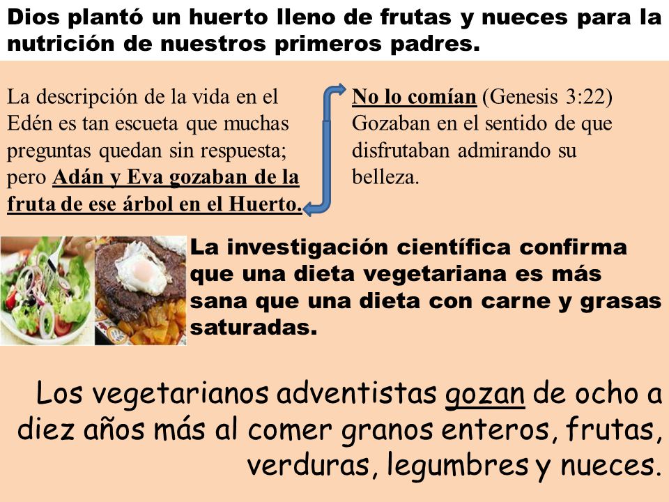 Dios plantó un huerto lleno de frutas y nueces para la nutrición de nuestros primeros padres.