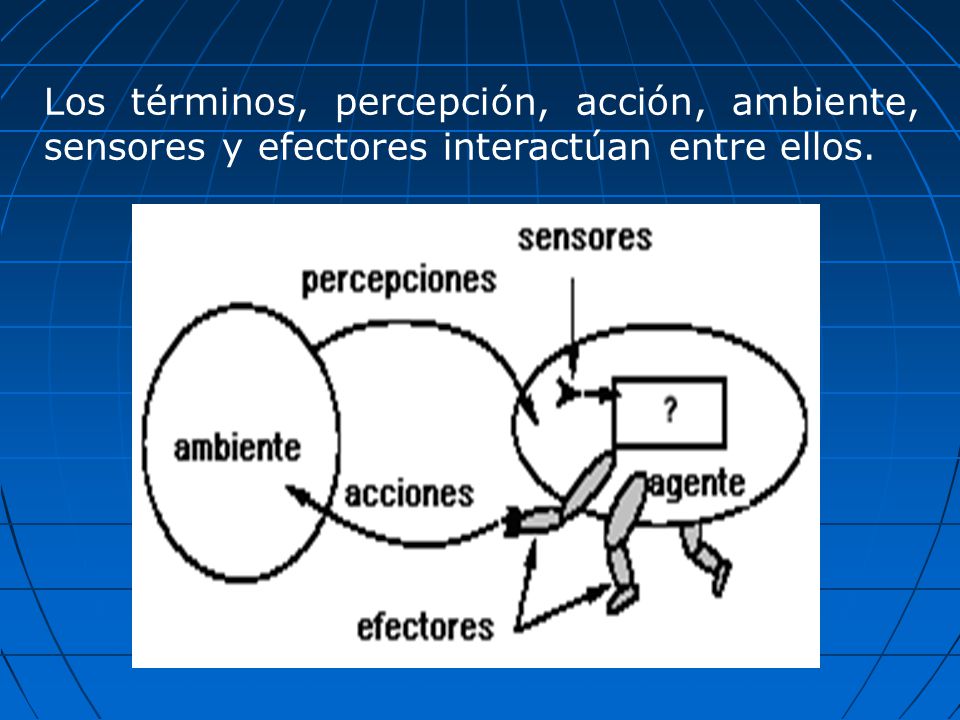 Los términos, percepción, acción, ambiente, sensores y efectores interactúan entre ellos.