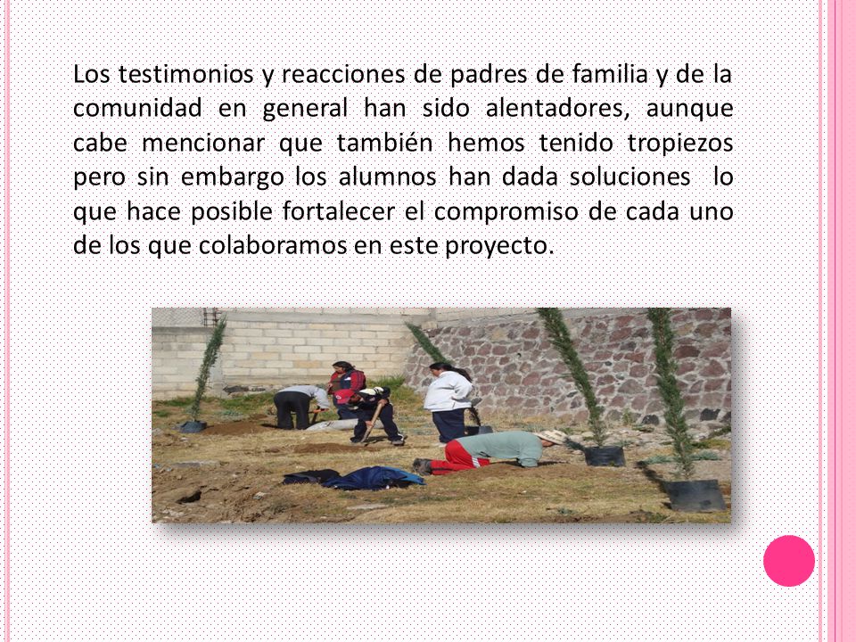 Los testimonios y reacciones de padres de familia y de la comunidad en general han sido alentadores, aunque cabe mencionar que también hemos tenido tropiezos pero sin embargo los alumnos han dada soluciones lo que hace posible fortalecer el compromiso de cada uno de los que colaboramos en este proyecto.