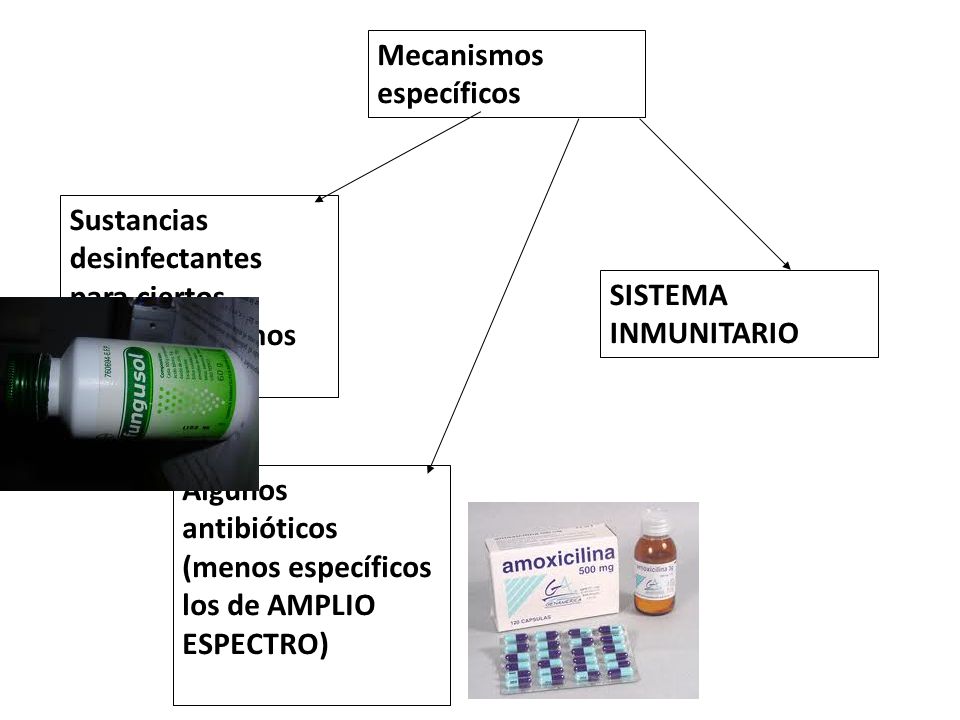 Mecanismos específicos