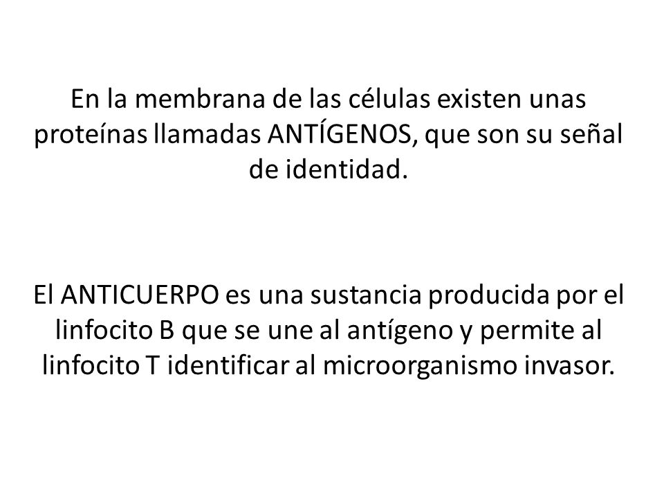 En la membrana de las células existen unas proteínas llamadas ANTÍGENOS, que son su señal de identidad.