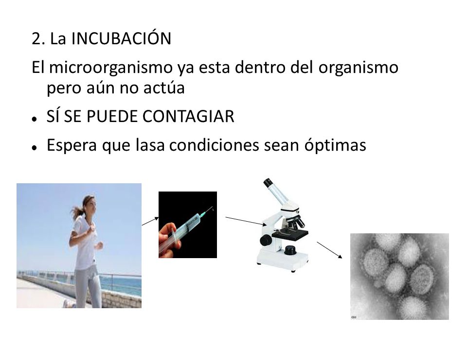 2. La INCUBACIÓN El microorganismo ya esta dentro del organismo pero aún no actúa. SÍ SE PUEDE CONTAGIAR.