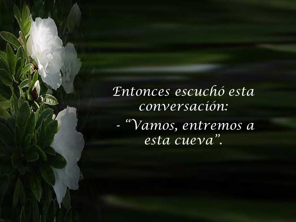 Entonces escuchó esta conversación: - Vamos, entremos a esta cueva .
